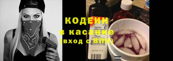 индика Абдулино
