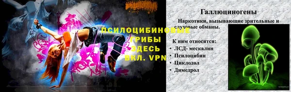 индика Абдулино