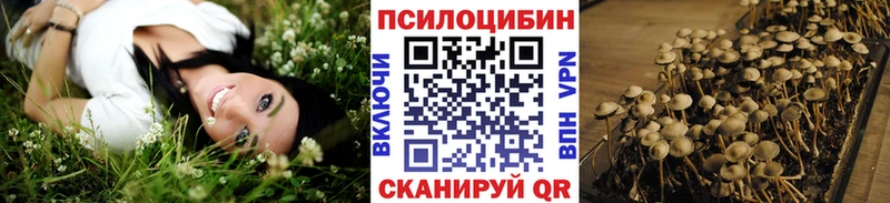 Галлюциногенные грибы Psilocybe  наркота  Темников 